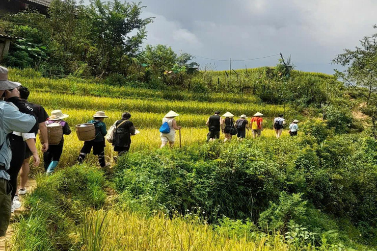 Sapa Small Group 2-Day Fansipan &amp; Trekking All InclusiveFrom Hanoi With Bungalow All Inclusive