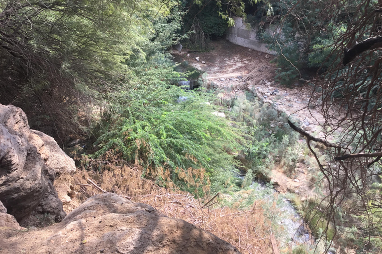 Amman: Ma’in Hot Springs and Dead Sea Panorama