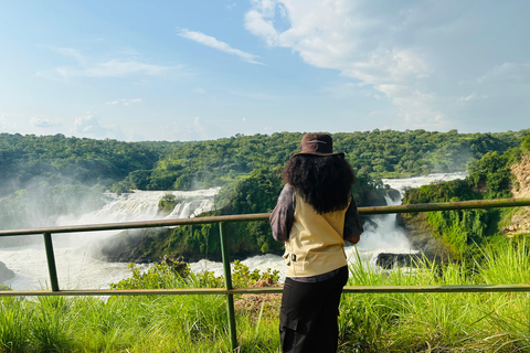 乌干达：3 天默奇森瀑布野生动物园之旅，追踪犀牛乌干达：3 日默奇森瀑布野生动物园之旅，追踪犀牛