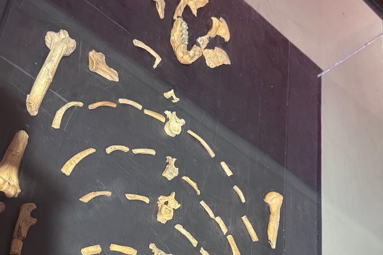 Addis Abeba: Wycieczka na górę Entoto z pakietem spa