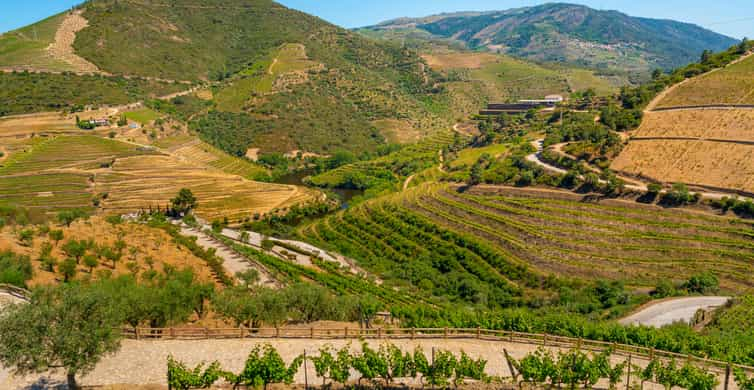 Full-Day Douro Wine Tour with Lunch and River Cruise | GetYourGuide