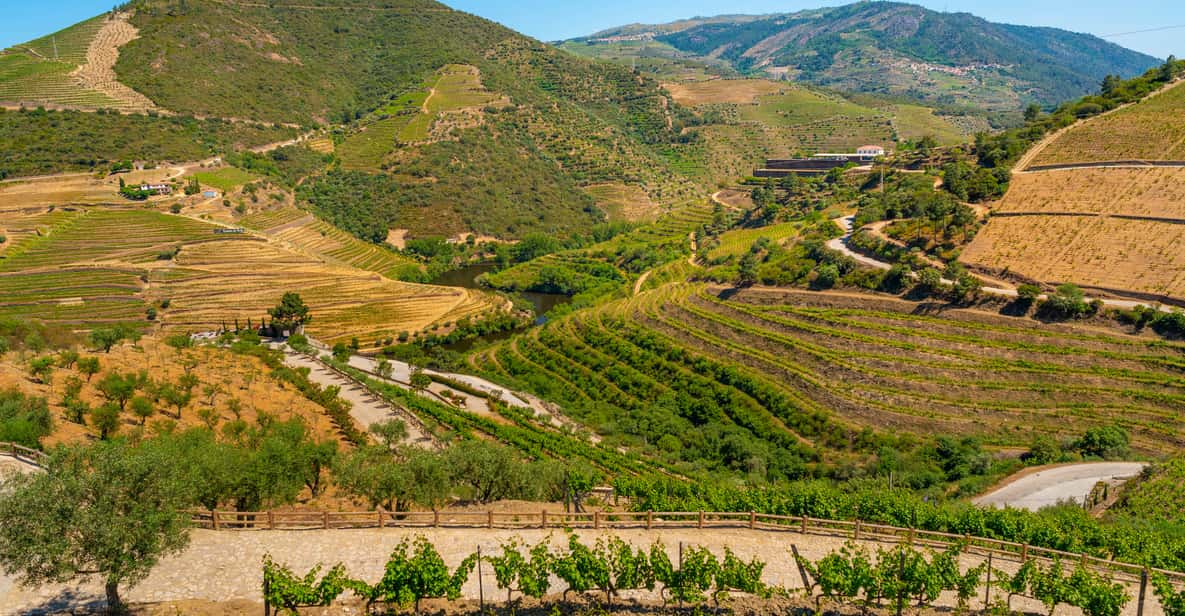 Full-Day Douro Wine Tour with Lunch and River Cruise | GetYourGuide