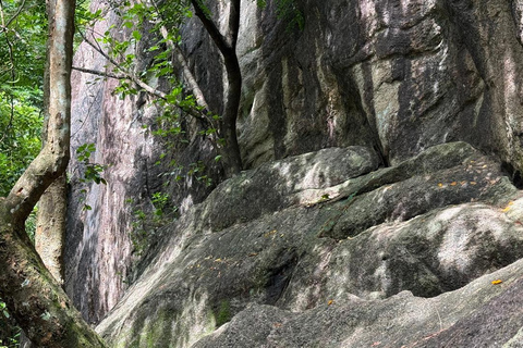 From Colombo: Gampaha District Temples & Jungle Hike Tour