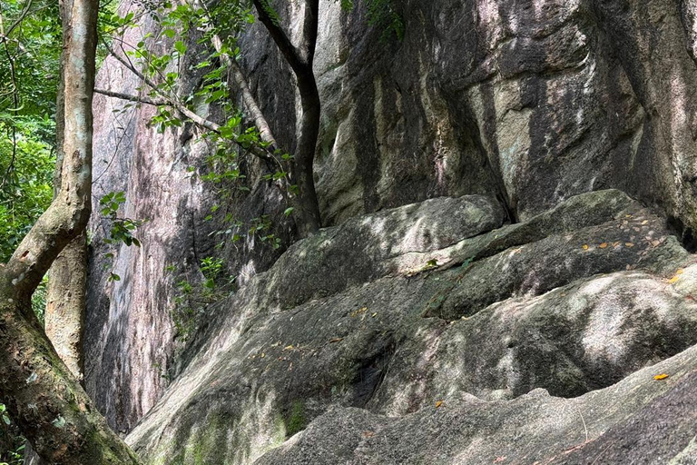 From Colombo: Gampaha District Temples & Jungle Hike Tour