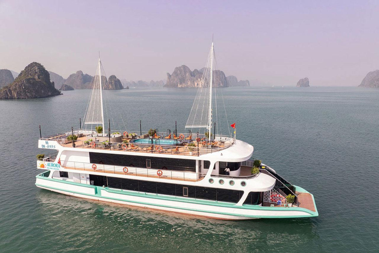 Hanoi: Aurora Halong Day Cruise - Lunch, Kayak, Swim, Cave from Halong: Cruise with Buffet, Kayaking (No transfer)