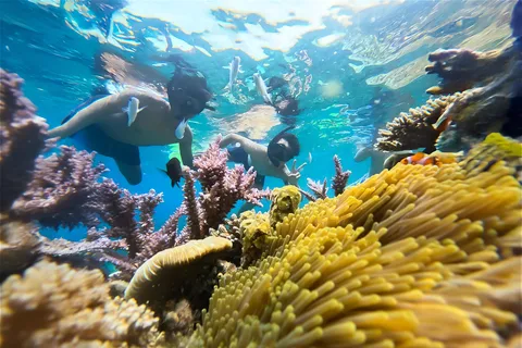 Nha Trang: Aventura de medio día de snorkel con barbacoa a bordo