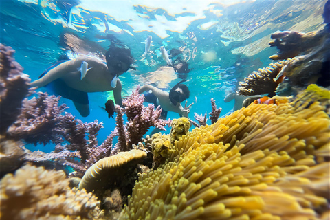 Nha Trang: półdniowa przygoda z nurkowaniem z rurką i grillem na pokładzieDołącz do wycieczki