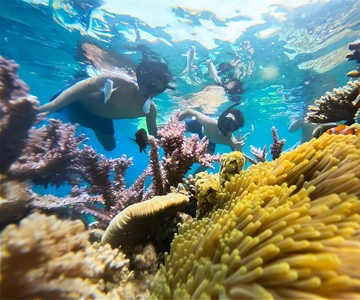 Nha Trang: Half-Day Snorkeling Adventure with BBQ Onboard