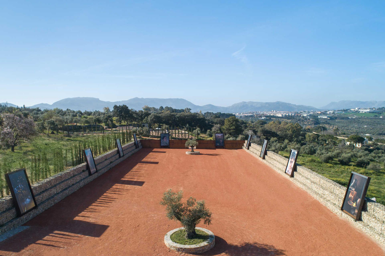 Depuis Malaga : L&#039;expérience de Ronda