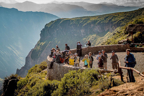 Colca Canyon Tour 2 dagen vanuit Arequipa met 1 overnachting in Colca