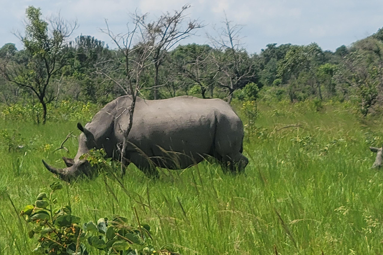 From Kampala: Ziwa Rhino Sanctuary Day Tour with Lunch