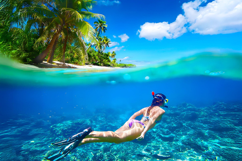 Pigeon Island Snorkeling Tour from Uppuveli Beach