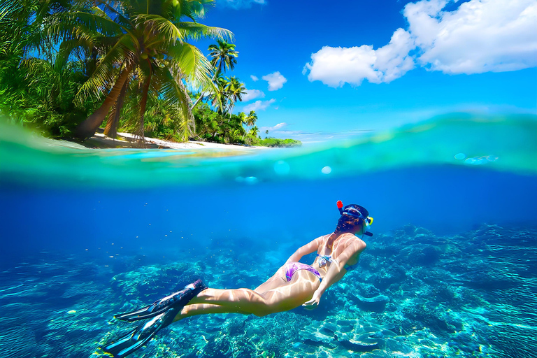 Pigeon Island Snorkeling Tour from Uppuveli Beach