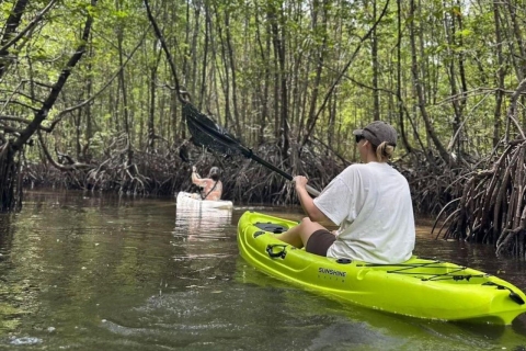 Mangrove Kayak in Langkawi estimated 4 hours