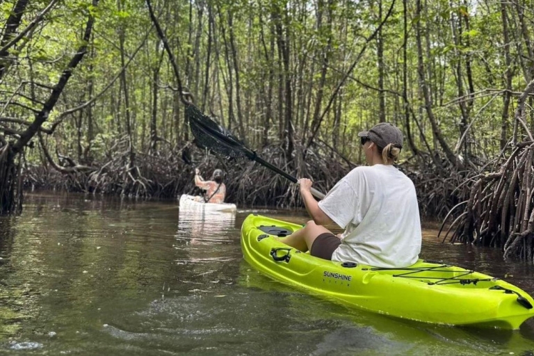 Mangrove Kayak in Langkawi estimated 4 hours