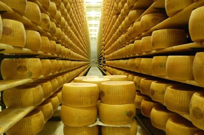 Parma: Parmigiano Production and Parma Ham Tour & Tasting | GetYourGuide