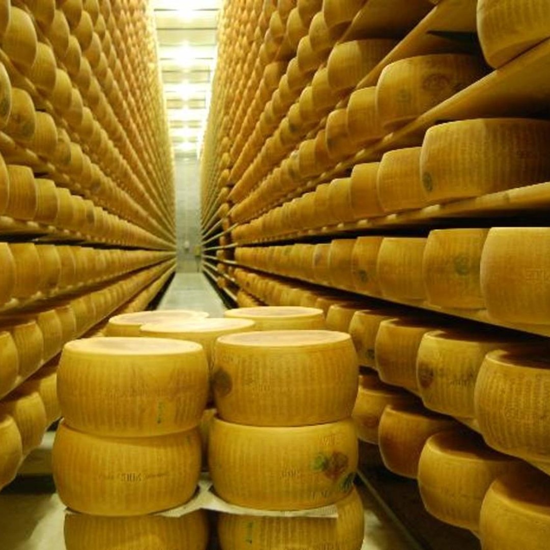 Galerie média