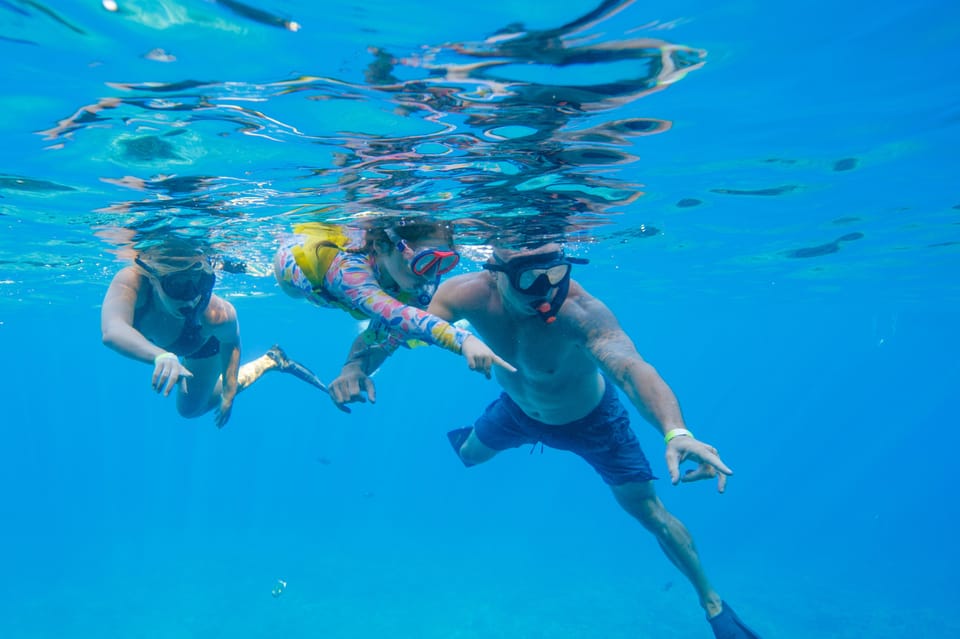 South Maui Molokini Crater and Turtle Town Snorkeling Trip GetYourGuide