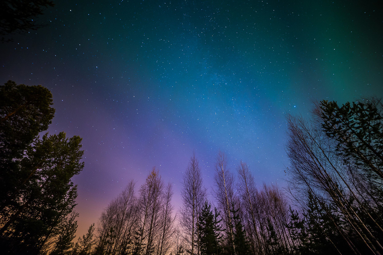 Aurora Borealis: Noorderlichttour vanuit ReykjavikStandaard tour met ontmoetingspunt