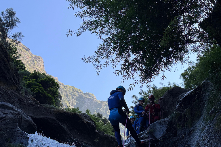 Madeira: Level 2 Canyoning Half Day Adventure