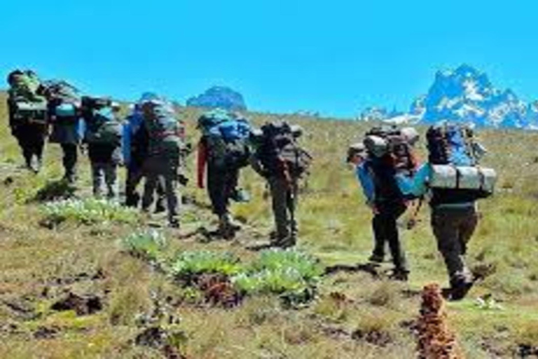 From Nairobi: Mount Kenya Day Tour with Lunch