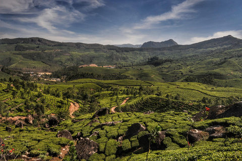 From Kochi: 8-Day Kerala Tour with Houseboat Stay From Kochi: 8 Day Kerala Tour with Houseboat Stay
