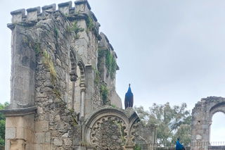 Golden Era of Évora walking & the portuguese wine tasting.