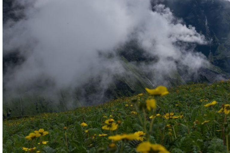 From Kathmandu: 13-Day Meme Pokhari Trek with Guide