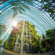 Singapore: Gardens by the Bay Guided Tour Singapore: Gardens by the Bay Guided Tour