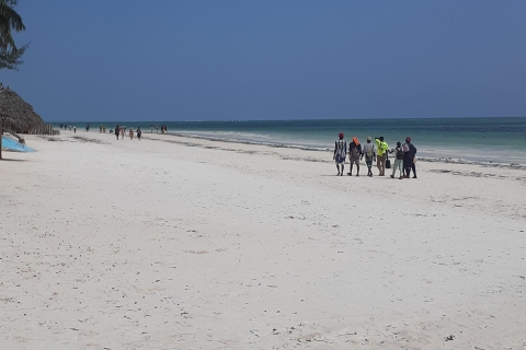 Zanzíbar: Excursión con delfines y snorkel en la isla de Mnemba