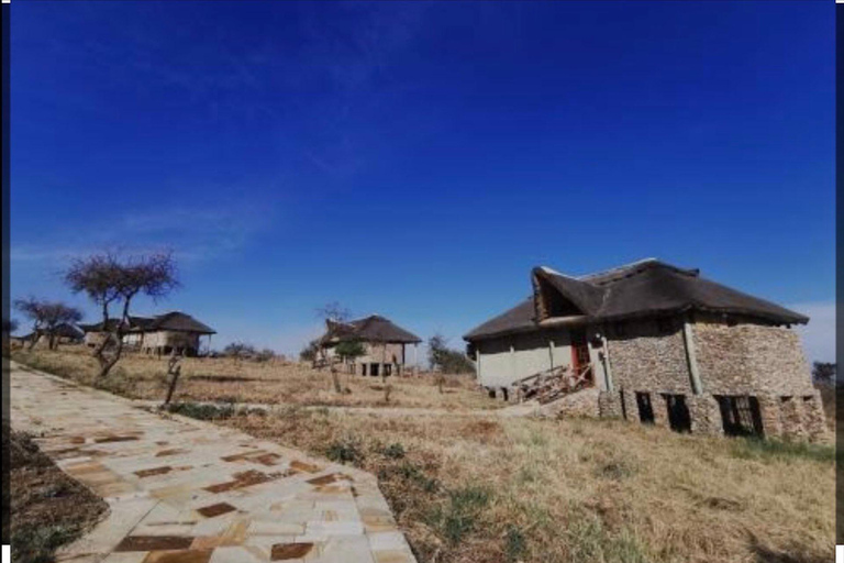 Serengeti: 3-Day Migration Safari with Hot Air Balloon Ride