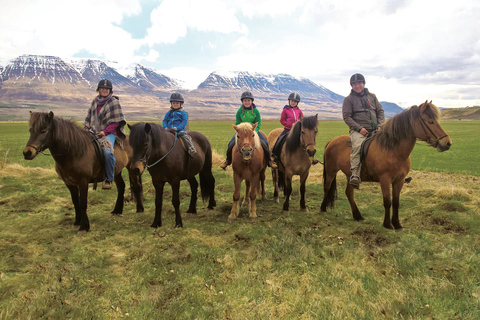 Varmahlid: 1-Hour Icelandic Horse Riding Tour