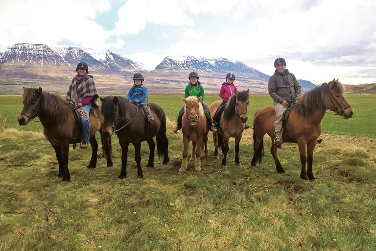 Varmahlid: 1-Hour Icelandic Horse Riding Tour