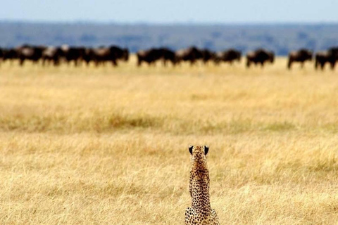 5 Days Group Serengeti, Ngorongoro & lake Manyara Safari