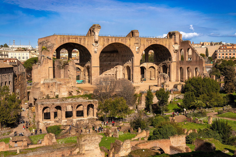 Rome: Colosseum, Forum & Palatine Hill Guided Tour 7 People