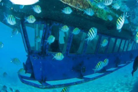Cancun: Submarine Ride at Nizuc Reef with Drinks