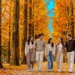 Seoul: Nami Island e Giardino della Calma Mattutina con giro in bicicletta su rotaie facoltativo