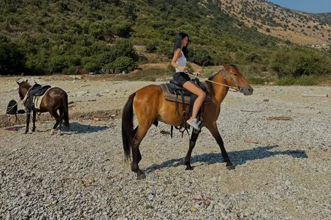Horseback Riding Guides