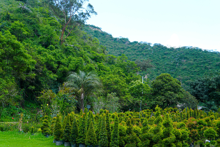 Quito: Nayón Village Tour with Farm Visit