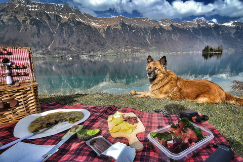 Interlaken: Instagram SUP Experience on Lake Brienz