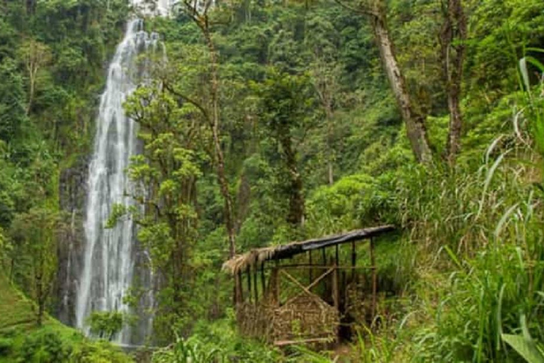 Kili-Moshi: Dorpswandeling, koffietour, waterval en lunch