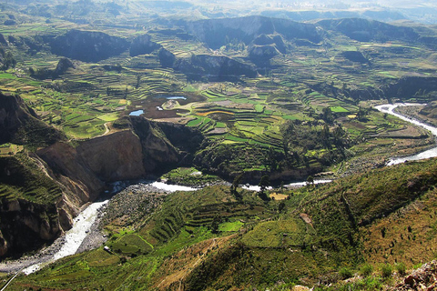 2D/1N utflykt från Puno-Arequipa + besök i Colca Canyon