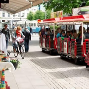 Gothenburg: Old Town Sightseeing Tour