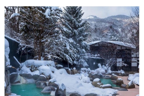 Nagano/Tokyo: Snow Monkey Private Day Tour At Lowest Rate