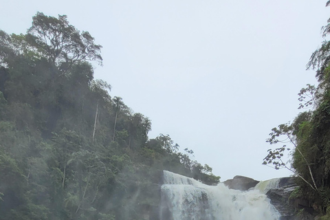 ATLANTIC FOREST TOUR WITH WATERFALLS - THE GOLD TRAIL