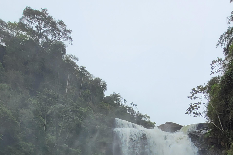 ATLANTIC FOREST TOUR WITH WATERFALLS - THE GOLD TRAIL