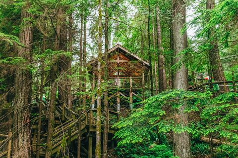 Sightseeing i Vancouver och Capilano Suspension Bridge: HalvdagJulrundtur: Ljusen i Capilano Canyon