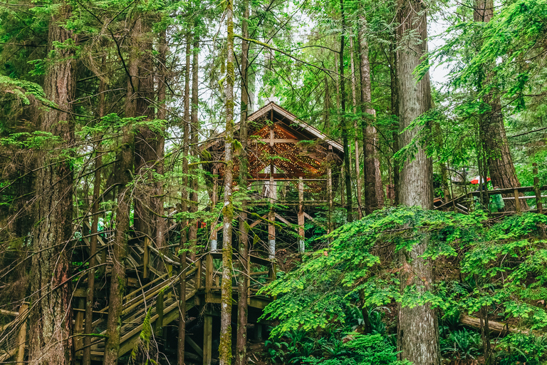 Zwiedzanie Vancouver i mostu wiszącego Capilano: Pół dniaŚwiąteczna wycieczka: Capilano Canyon Lights