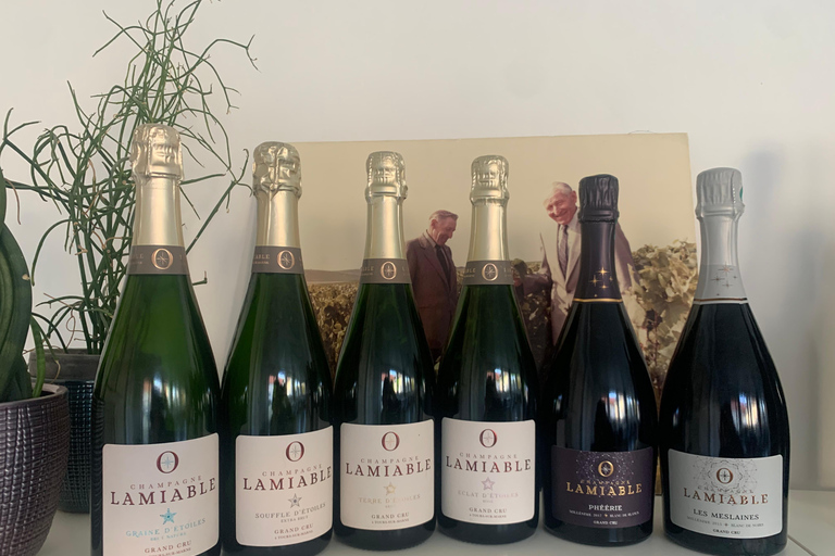 图尔-苏尔-马恩：酒窖参观与香槟品鉴马恩河畔图尔：酒窖参观和香槟品尝