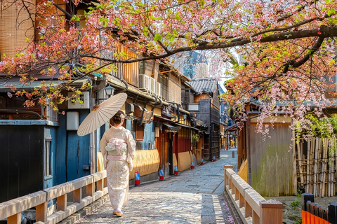 From Osaka/Kyoto: Tenjin Matsuri Fireworks&Yukata Experience From Osaka (Men's Yukata Experience)